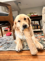 3. Easier on Sensitive Stomachs Than Rich Animal Chews