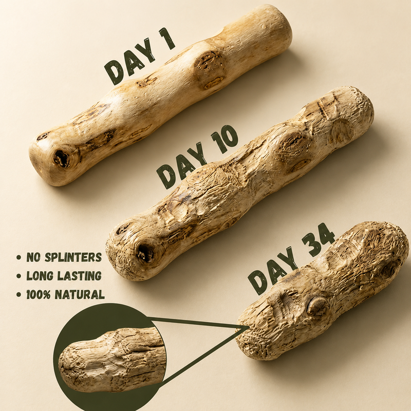 The Natural Chew That Cleans Teeth Without Cracking Them